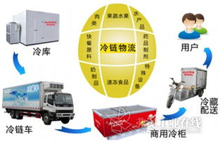 國內(nèi)外聯(lián)動打造北方食品冷鏈物流集散中心，優(yōu)化供應(yīng)鏈管理服務(wù)